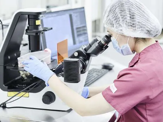 U-Factor東京研究所で顕微鏡を用いて細胞の状態を確認している写真