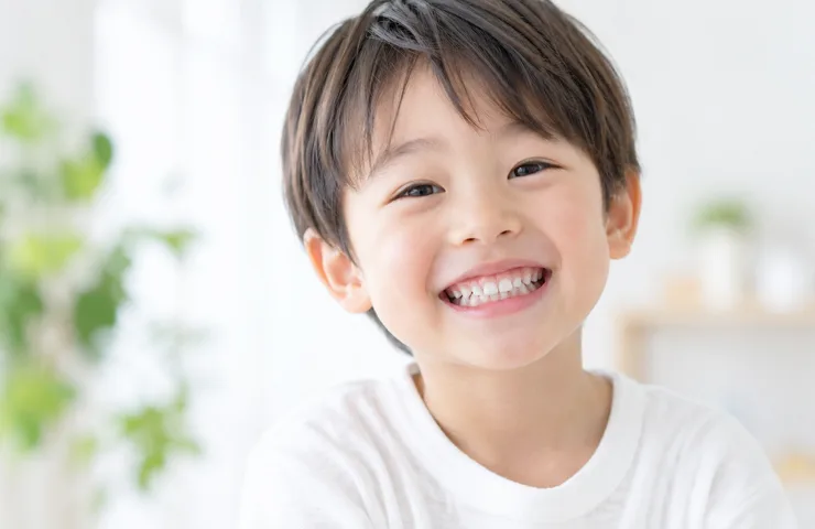 乳歯髄由来＝神経疾患に特化のイメージ写真